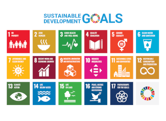 The 17 Sustainable Development Goals.