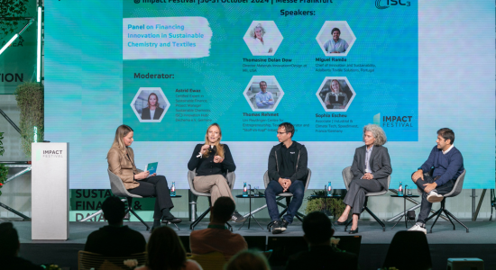 five experts or the panel on "financing innovation" sitting on a stage