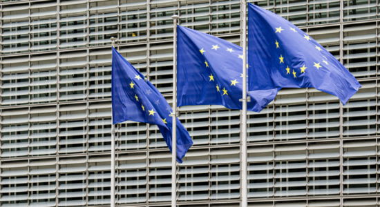 Women working on a Crop Field